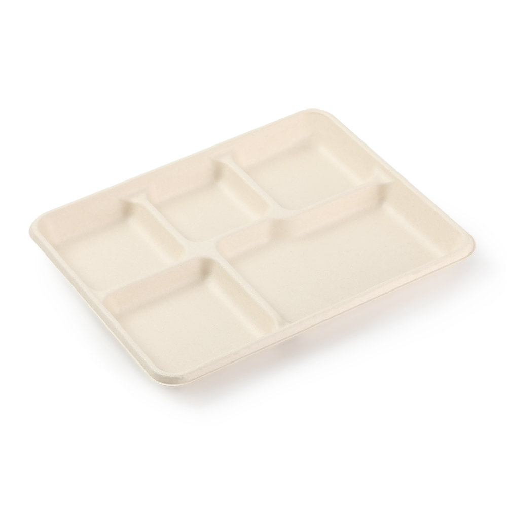 5 compartment tray